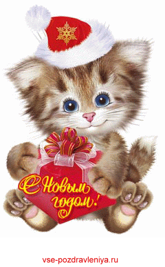 Новогодняя открытка, с поздравлением на новый 2011 год кота!